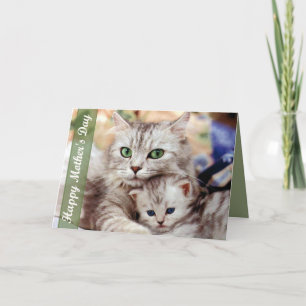 Tarjeta Gato y gatito del día de madre