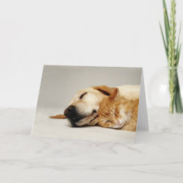 Tarjeta Gato y perro durmiendo juntos...