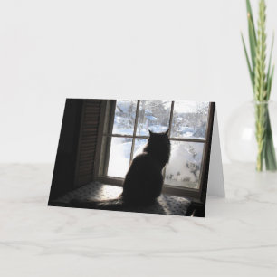 Tarjeta Gato y silencio