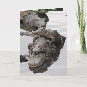 Tarjeta Gator Birthday Party
