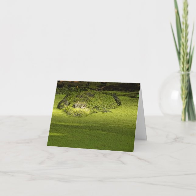 Tarjeta Gator Lurking in Duckweed - Fotografía de la natur (Anverso)