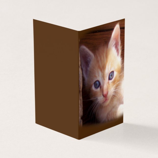 Tarjeta Gatos (Exterior)