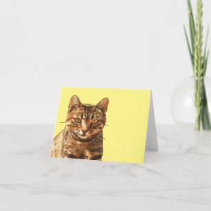 Tarjeta Gatos Atigrados Espectaculares Con Ojos Fijos Cont