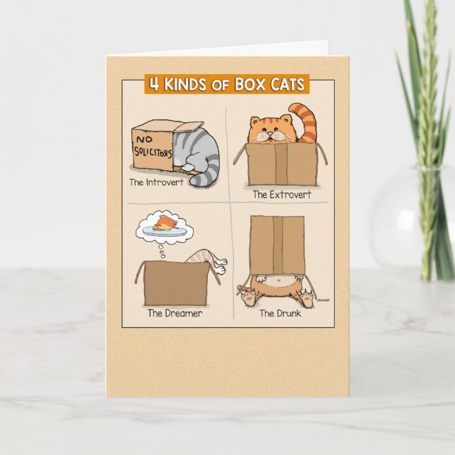 Tarjeta Gatos curos y divertidos en cajas Cumpleaños (Anverso)