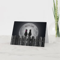 Gatos de aniversario a la luz de la luna