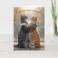 Gatos De Aniversario Abrazados De Sol