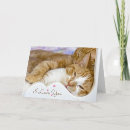 Tarjeta Gatos de aniversario en la cama