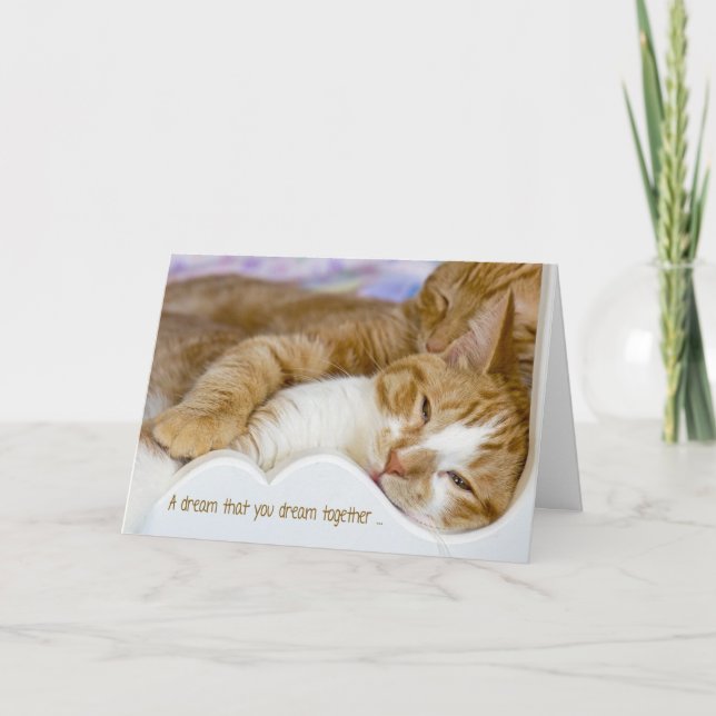 Tarjeta Gatos de aniversario para pareja (Anverso)