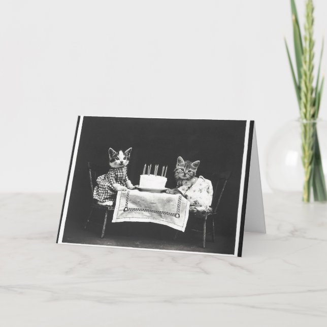 Tarjeta Gatos de cosecha en una fiesta de cumpleaños (Anverso)