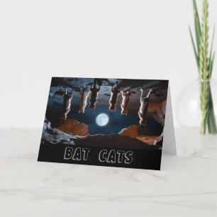 Tarjeta Gatos en cueva de murciélago
