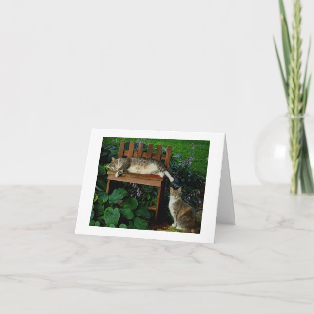 Tarjeta Gatos en el jardín (Anverso)