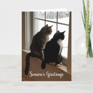 Tarjeta Gatos en la ventana