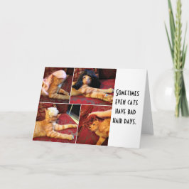 Tarjeta Gatos en pelucas (en blanco dentro)