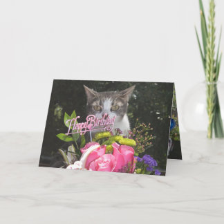 Tarjeta Gatos/gatitos divertidos Feliz cumpleaños desde nu
