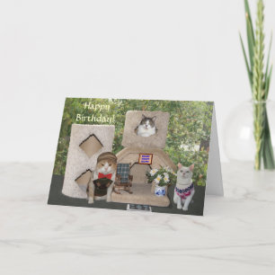 Tarjeta Gatos/gatitos divertidos Feliz cumpleaños desde nu