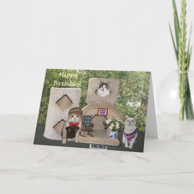 Tarjeta Gatos/gatitos divertidos Feliz cumpleaños desde nu (Anverso)