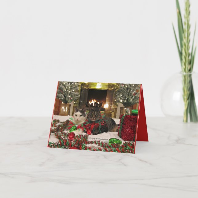 Tarjeta Gatos lindos que celebran navidad (Anverso)