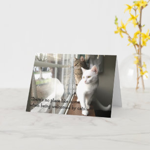 Tarjeta Gatos sentados cerca de la ventana