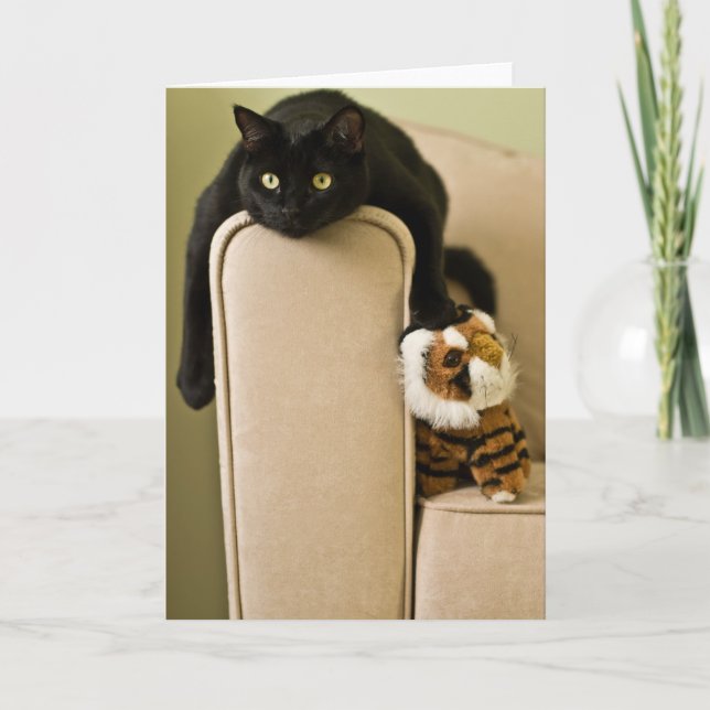 Tarjeta Gatos sucedáneos Notecard (Anverso)