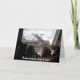 Tarjeta Gatos y ardilla