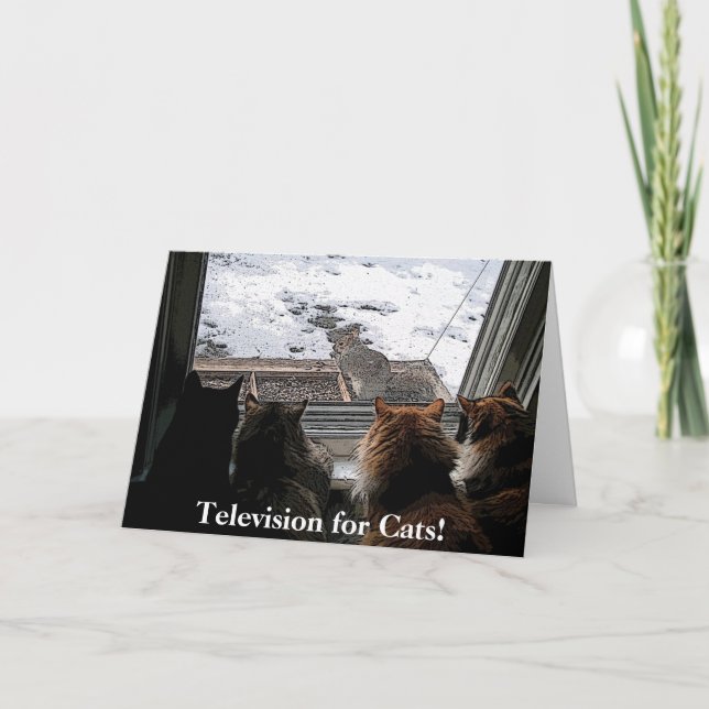 Tarjeta Gatos y ardilla (Anverso)