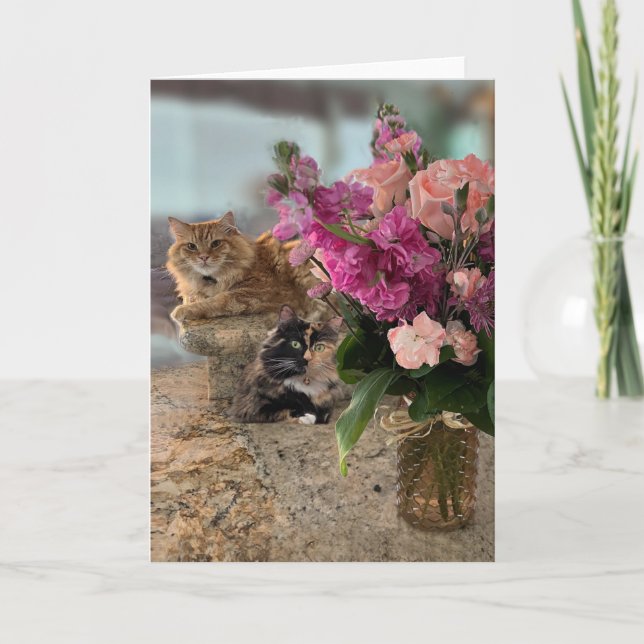 Tarjeta Gatos y flores (Anverso)