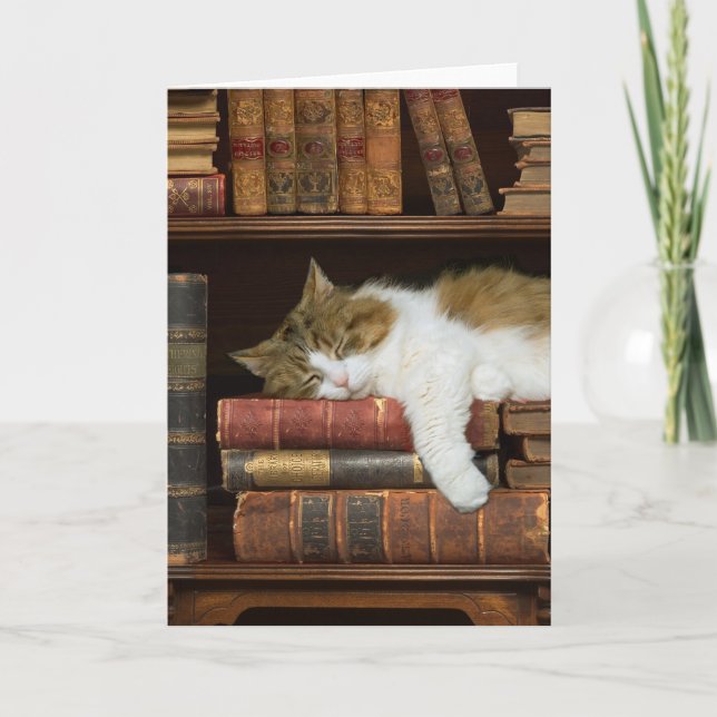 Tarjeta Gatos y libros (Anverso)
