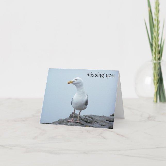 Tarjeta Gaviota (Anverso)