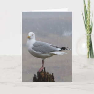 Tarjeta Gaviota Adorable Posada Paisaje Postural De Madera