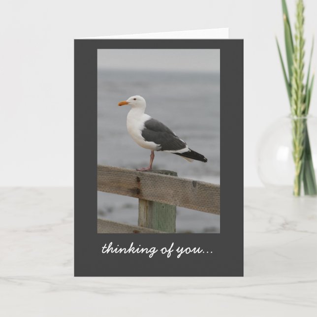 Tarjeta Gaviota: Carmel-por--Mar (Anverso)