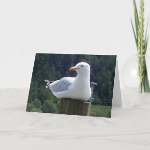 Tarjeta Gaviota en Poste de Cerca de Jardín Arte de Aves E
