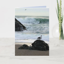 Tarjeta Gaviota junto al mar