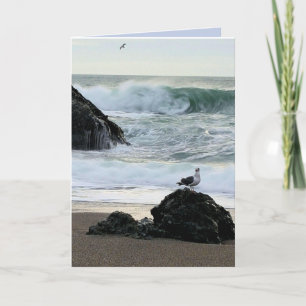 Tarjeta Gaviota junto al mar