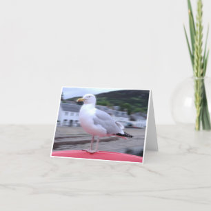 Tarjeta Gaviota Notecard