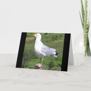 Tarjeta Gaviota Personalizable De Pie Sobre Poste Saludos