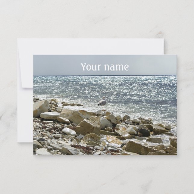 Tarjeta gaviota y surf marina (Anverso)