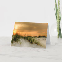 Gaviotas al amanecer