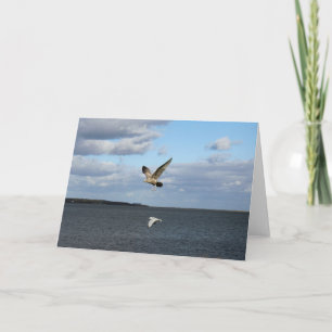 Tarjeta Gaviotas en vuelo