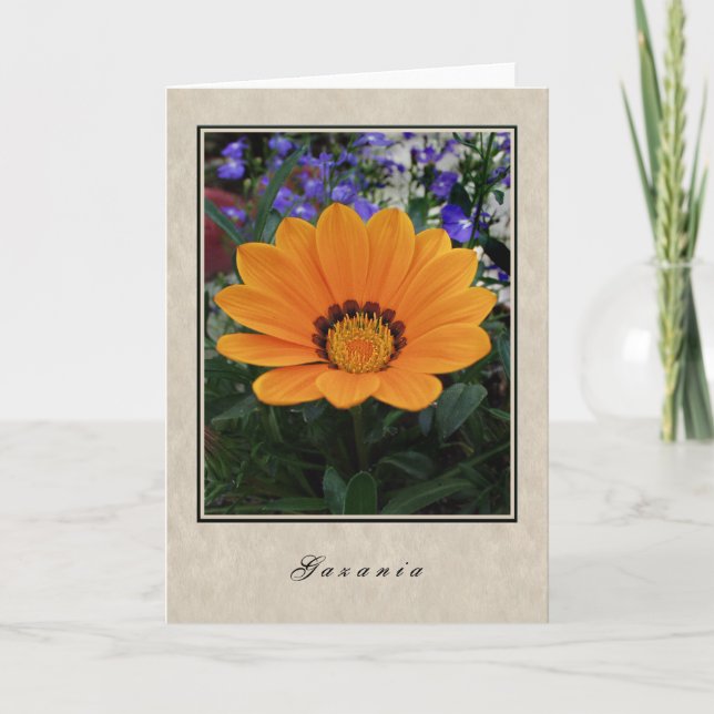 Tarjeta Gazania - Floral Series (Anverso)