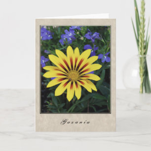 Tarjeta Gazania - serie floral