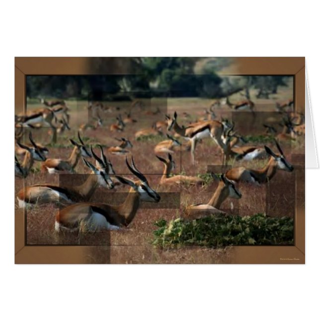 Tarjeta Gazelle (Anverso (Horizontal))