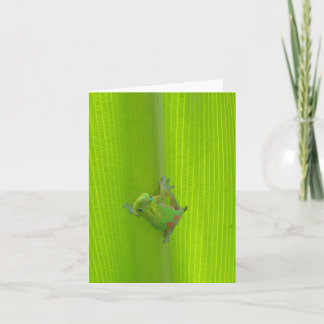 Tarjeta Gecko Notecard