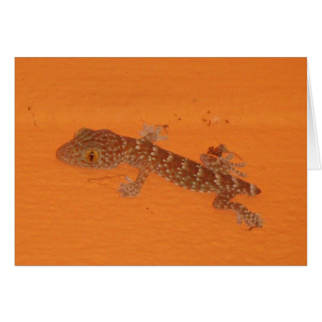 Tarjeta gecko Tokay para bebés (Anverso (Horizontal))