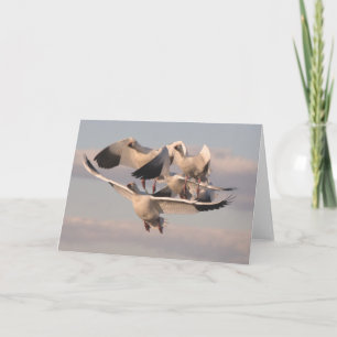 Tarjeta Geese de Nieve Voladora