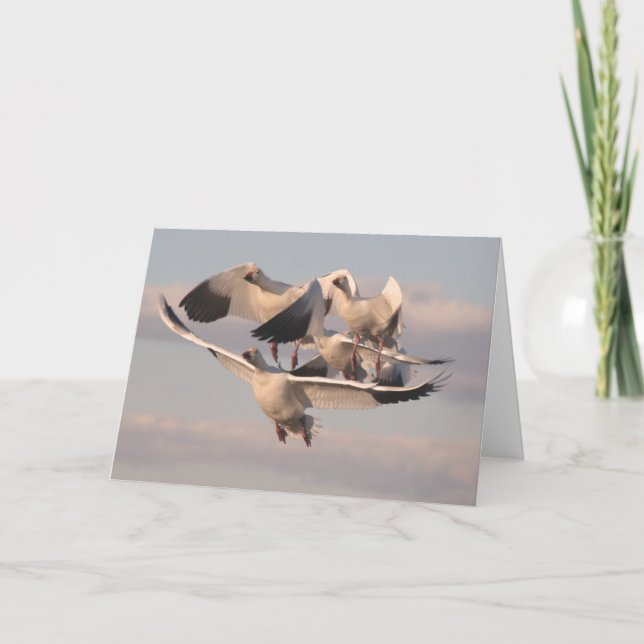 Tarjeta Geese de Nieve Voladora (Anverso)