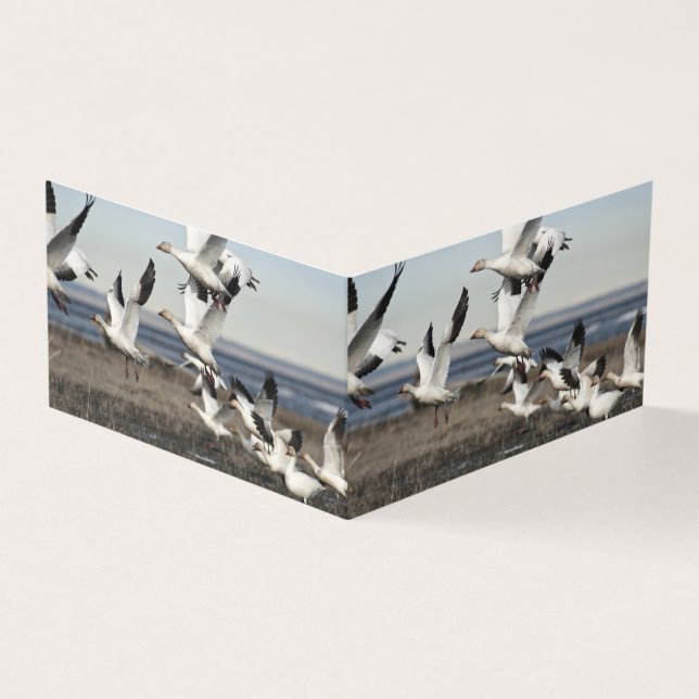 Tarjeta Geese de nieve voladora (Exterior)