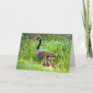 Tarjeta Geese del Día de la Madre