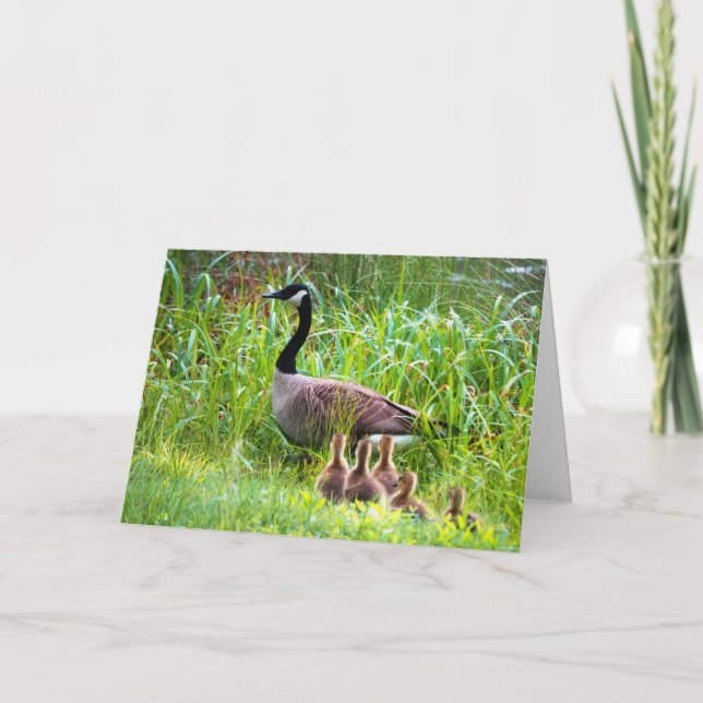 Tarjeta Geese del Día de la Madre (Anverso)