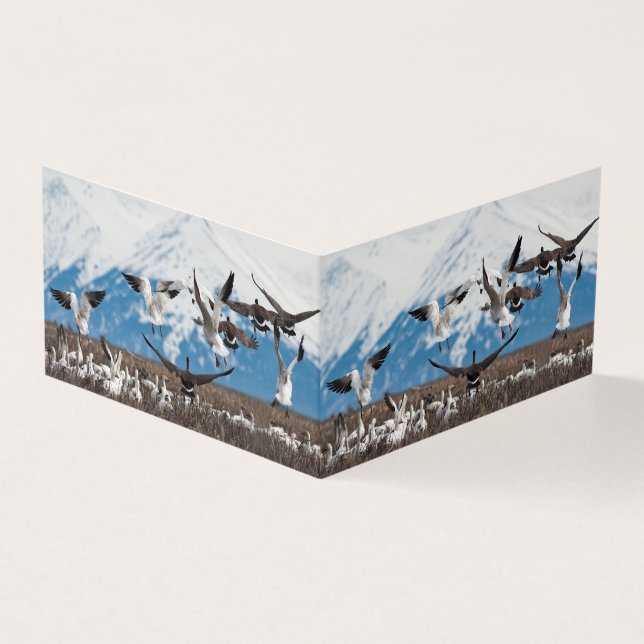 Tarjeta Geese dispersivo (Exterior)