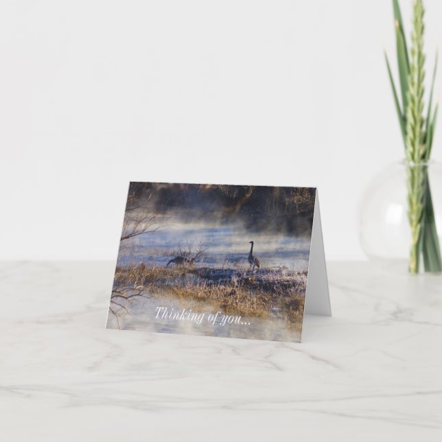 Tarjeta Geese Hablando Una Breve Idea De Ti (Anverso)